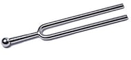 cover TUNING FORK IN A 440